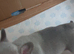 6 frenchies