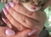 beautiful Bengal Cross Kittens