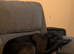 Cane Corso Female For Rehoming