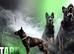 BEST WORKING LINE GERMAN SHEPHERD IN UK