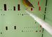 Canary breading pair tinbrado
