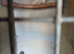 Ducorps cockatoo