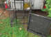 Parrot cage