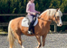 A stunning stamp of a section c mare