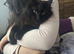 Male Maine coon