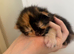 Beautiful kittens for sale!
