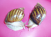 PINK LIPPED GIANT AFRICAN LAND SNAILS