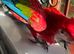 Greenwing macaw babys