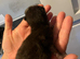 Beautiful little male kitten for sale