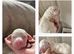 Stunning Cavapoo pups