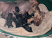 ANMACO Pups have Arrived!