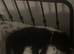 Patterpoo for rehoming