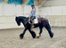 Super Safe Cob