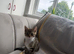 Kittens for sale