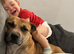 Staffordshire bull terrier puppies