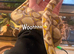 Female Retic