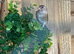Goldfinch mule