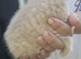 Fur balls