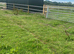 Horse paddock