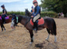 Pony Mare 4 Year Old 12.2h