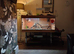 Bearded dragon with setup