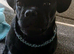 2nd Generation Frug.