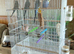 Bird Cage with Stand on Wheels,+4 budgies.