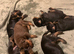 Royal KC Doberman puppies