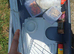Rabbit hutch