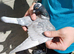 Racing Pigeon Hen Bird Rare colour 2