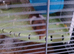 Hamster with cage