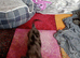 I am looking for this little boy or lovely home