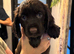 1 Beautiful Girl looking for a home