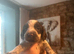 Sprocker pups for sale