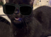 Kittens ready now