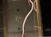 X2 corn snakes M&F separate vivs included.