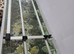 Aquael 240ltr Fish tank