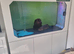 Clear air aquatics Aquarium 1500L