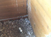 Pair of Snowy Owls for Sale