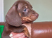1 little boy ready now