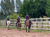 Welsh section A for 3 day loan