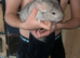 5 month old female stupid tame