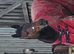 Cleveland bay stallion 3yr old