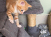 Kittens for sale