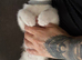 Kitten