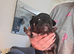 Kc reg french bulldogs