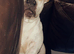 Buddy