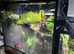 Super Large Dart Frog Vivarium Setup &ndash; &pound;420 &ndash; Nottingham NG3 (Collection Only)