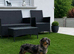 long-haired dachshund