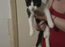 Kittens need urgent homes